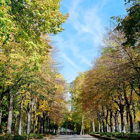 伯洛格纳珀缇西酒店 4*